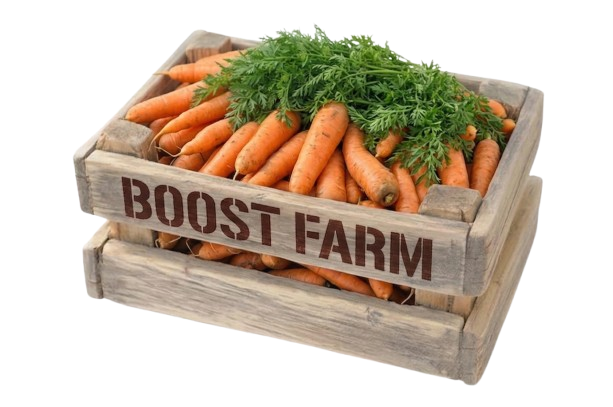 Crate of carrots